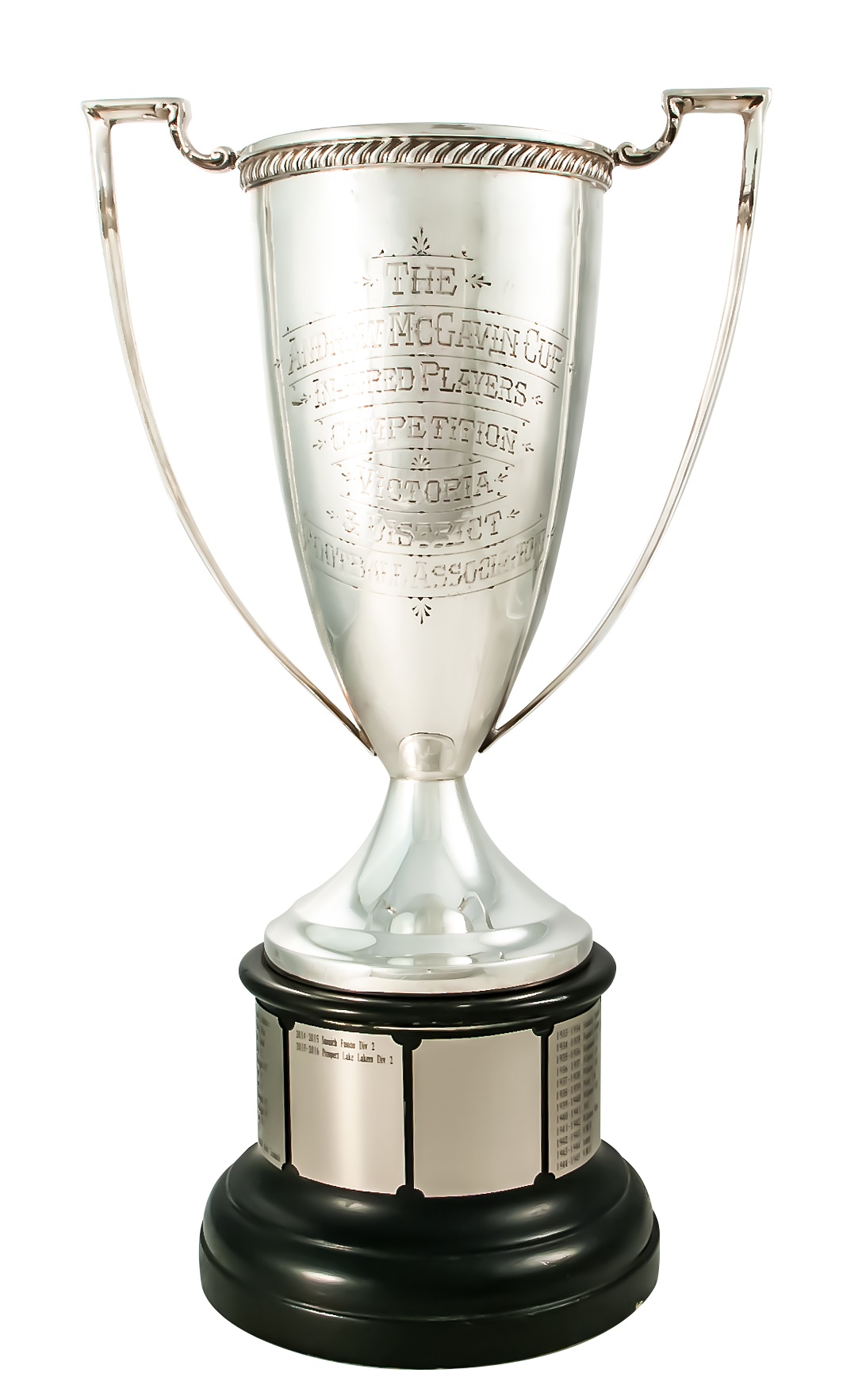 McGavin Cup